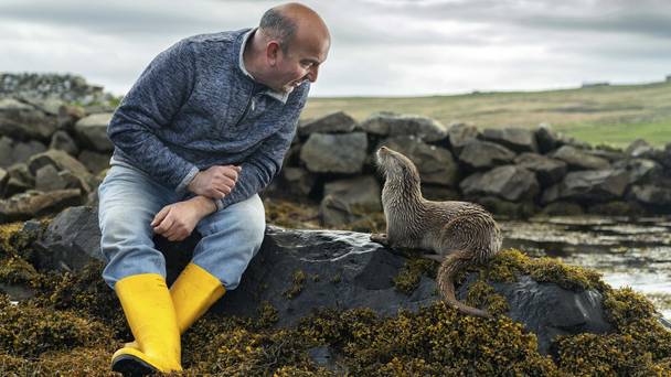 Billy & Molly: An Otter Love Story